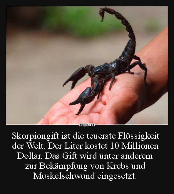 Skorpiongift ist die teuerste Flüssigkeit der Welt... - Lustige Bilder | DEBESTE.de