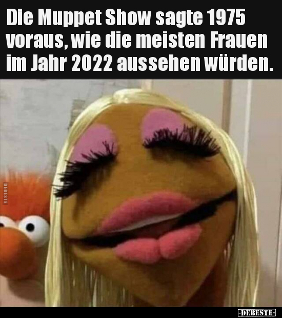 Die Muppet Show sagte 1975 voraus, wie die meisten Frauen.. - Lustige Bilder | DEBESTE.de