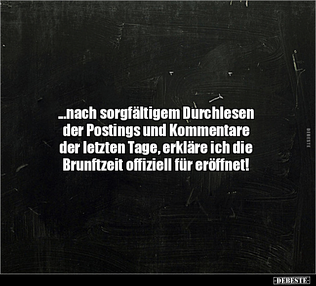 ..nach sorgfältigem Durchlesen der Postings.. - Lustige Bilder | DEBESTE.de