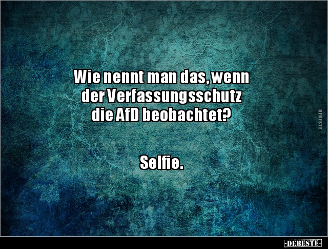 Wie nennt man das, wenn der Verfassungsschutz die AfD.. - Lustige Bilder | DEBESTE.de