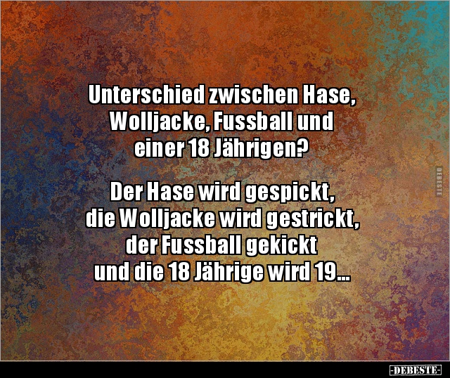Unterschied zwischen Hase, Wolljacke, Fussball und.. - Lustige Bilder | DEBESTE.de