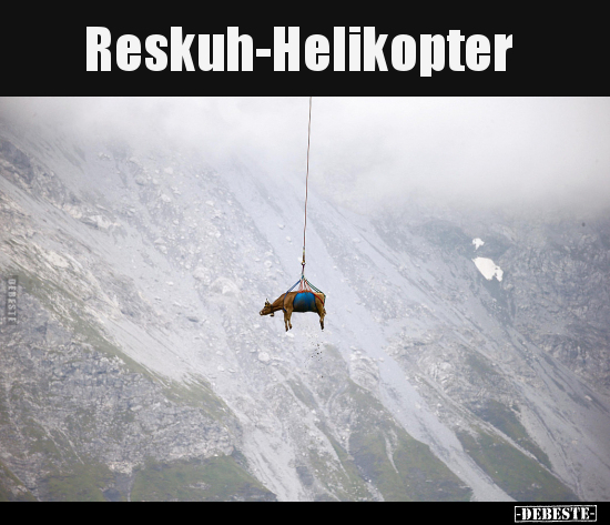 Reskuh-Helikopter.. - Lustige Bilder | DEBESTE.de
