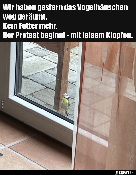 Wir haben gestern das Vogelhäuschen weg geräumt.. - Lustige Bilder | DEBESTE.de