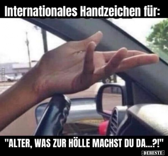 Internationales Handzeichen für: "ALTER, WAS ZUR HÖLLE.." - Lustige Bilder | DEBESTE.de