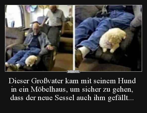 Dieser Großvater kam mit seinem Hund in ein Möbelhaus, um.. - Lustige Bilder | DEBESTE.de