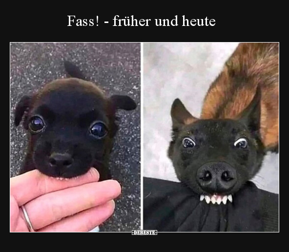 Fass! - früher und heute.. - Lustige Bilder | DEBESTE.de