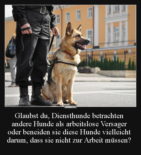 Glaubst du, Diensthunde betrachten andere Hunde als.. - Lustige Bilder | DEBESTE.de