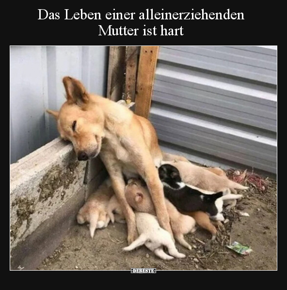 Das Leben einer alleinerziehenden Mutter ist hart.. - Lustige Bilder | DEBESTE.de
