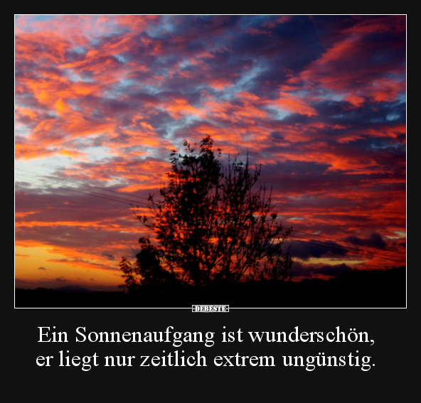 Ein Sonnenaufgang ist wunderschön.. - Lustige Bilder | DEBESTE.de