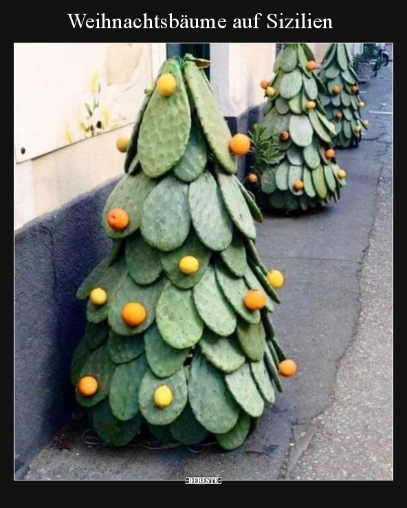 Weihnachtsbäume auf Sizilien.. - Lustige Bilder | DEBESTE.de