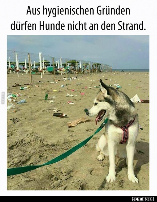 Aus hygienischen Gründen dürfen Hunde nicht an den Strand.. - Lustige Bilder | DEBESTE.de