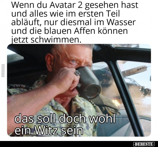 Wenn du Avatar 2 gesehen hast und alles wie im ersten Teil.. - Lustige Bilder | DEBESTE.de