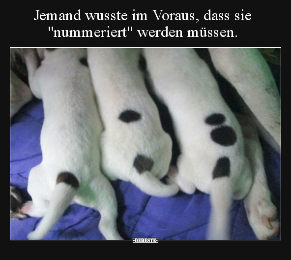 Jemand wusste im Voraus, dass sie "nummeriert" werden.. - Lustige Bilder | DEBESTE.de