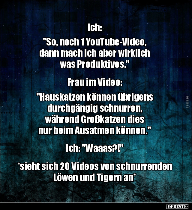 Ich: "So, noch 1 YouTube-Video, dann mach ich aber.." - Lustige Bilder | DEBESTE.de