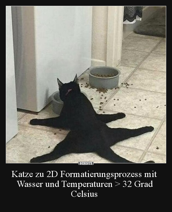 Katze zu 2D Formatierungsprozess mit Wasser und.. - Lustige Bilder | DEBESTE.de
