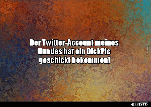 Der Twitter-Account meines Hundes hat ein DickPic.. - Lustige Bilder | DEBESTE.de
