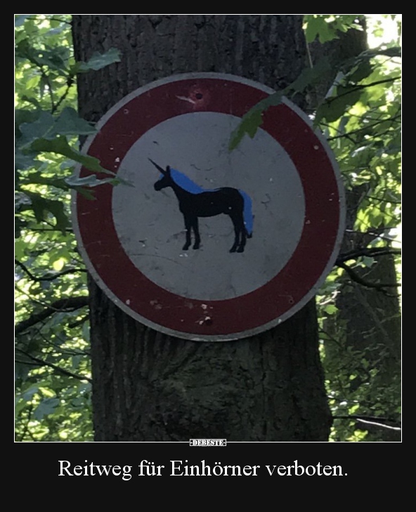 Reitweg für Einhörner verboten. - Lustige Bilder | DEBESTE.de