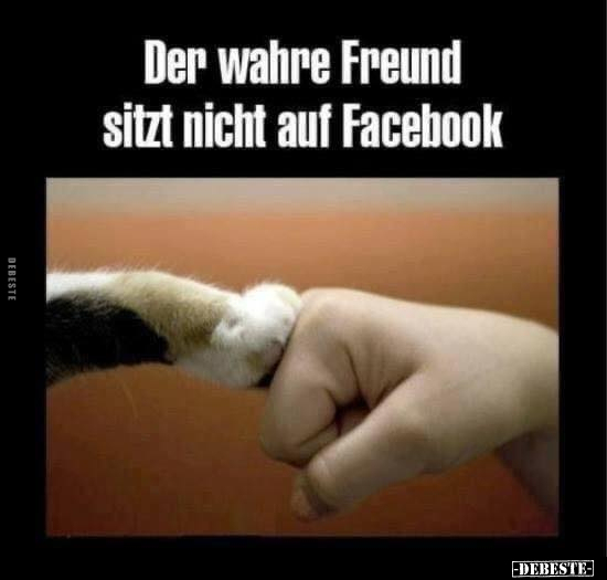 Der wahre Freund sitzt nicht auf Facebook.. - Lustige Bilder | DEBESTE.de