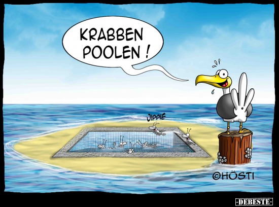 Krabben poolen!.. - Lustige Bilder | DEBESTE.de