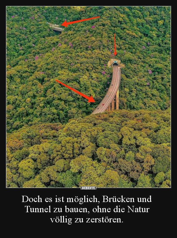 Doch es ist möglich, Brücken und Tunnel zu bauen, ohne.. - Lustige Bilder | DEBESTE.de