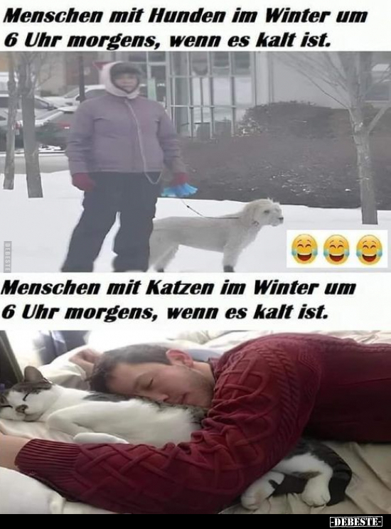 Menschen mit Hunden im Winter um 6 Uhr morgens.. - Lustige Bilder | DEBESTE.de