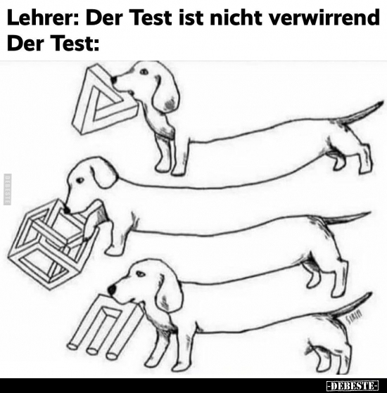 Lehrer: Der Test ist nicht verwirrend.. - Lustige Bilder | DEBESTE.de