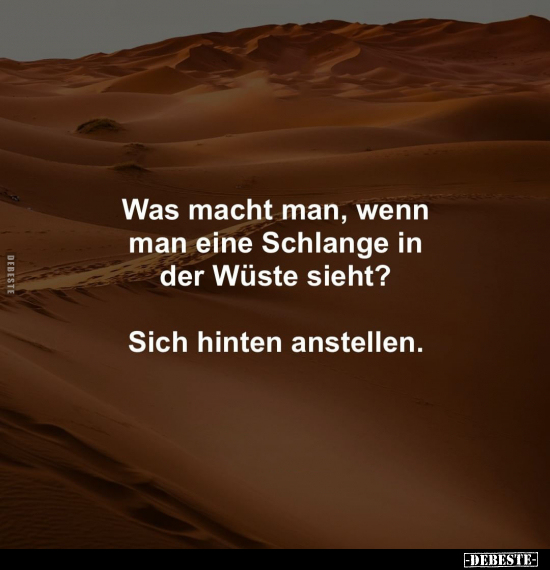 Was macht man, wenn man eine Schlange in der Wüste sieht?.. - Lustige Bilder | DEBESTE.de