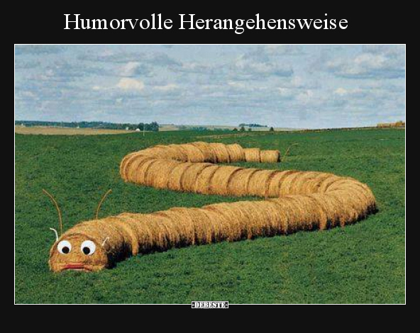 Humorvolle Herangehensweise.. - Lustige Bilder | DEBESTE.de