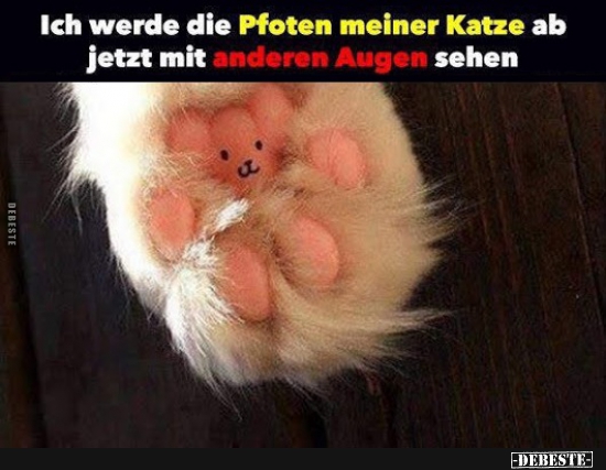 Ich werde die Pfoten meiner Katze ab jetzt mit anderen Augen sehen.. - Lustige Bilder | DEBESTE.de