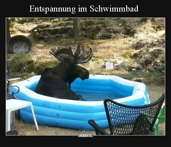 Entspannung im Schwimmbad - Lustige Bilder | DEBESTE.de