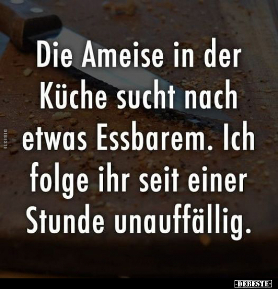 Die Ameise in der Küche sucht nach etwas Essbarem.. - Lustige Bilder | DEBESTE.de