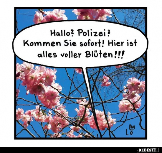 Hallo? Polizei? Kommen Sie sofort! Hier ist alles voller Blüten.. - Lustige Bilder | DEBESTE.de