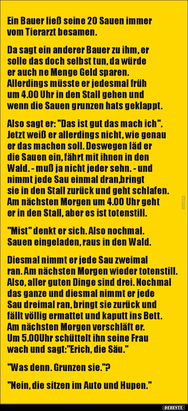 Ein Bauer ließ seine 20 Sauen immer vom Tierarzt.. - Lustige Bilder | DEBESTE.de