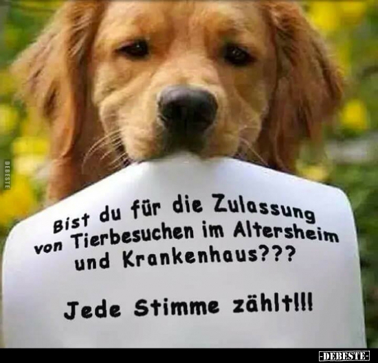 Bist du für die Zulassung von Tierbesuchen im Altersheim.. - Lustige Bilder | DEBESTE.de