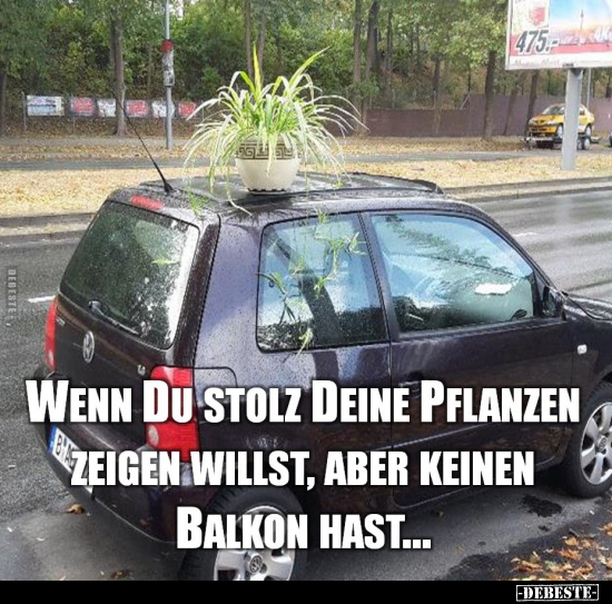 Wenn du stolz deine Pflanzen zeigen willst.. - Lustige Bilder | DEBESTE.de