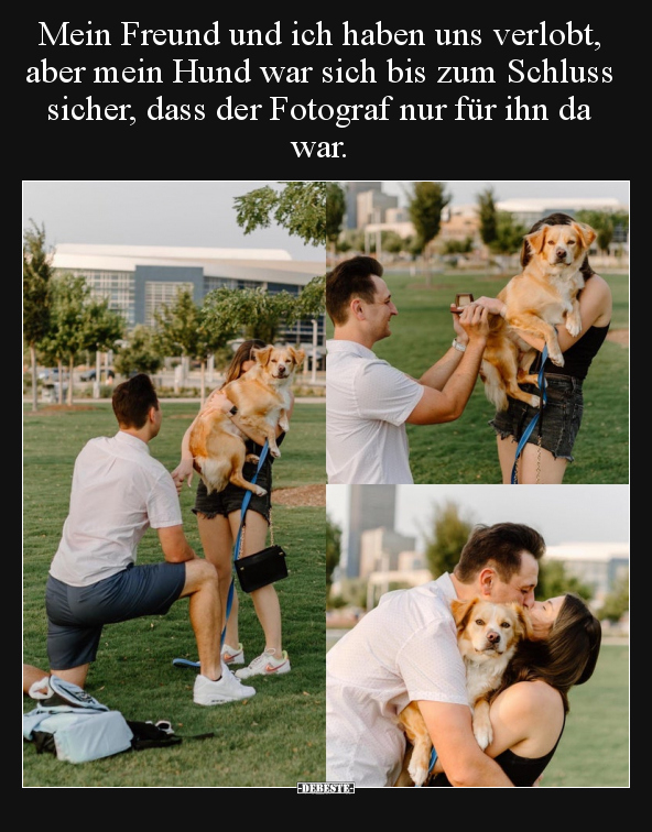 Mein Freund und ich haben uns verlobt, aber mein Hund war.. - Lustige Bilder | DEBESTE.de