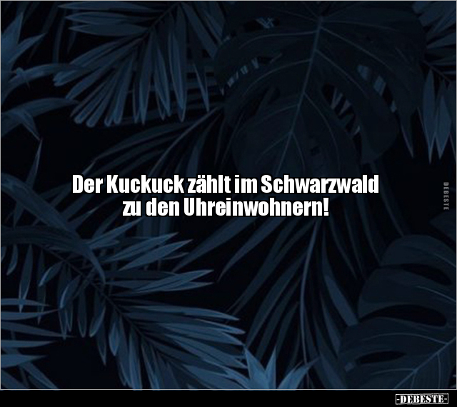 Der Kuckuck zählt im Schwarzwald zu den Uhreinwohnern!.. - Lustige Bilder | DEBESTE.de