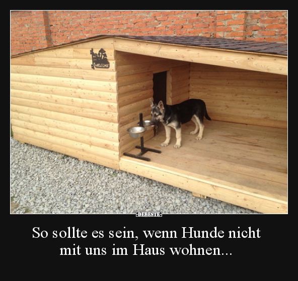 So sollte es sein, wenn Hunde nicht mit uns im Haus.. - Lustige Bilder | DEBESTE.de