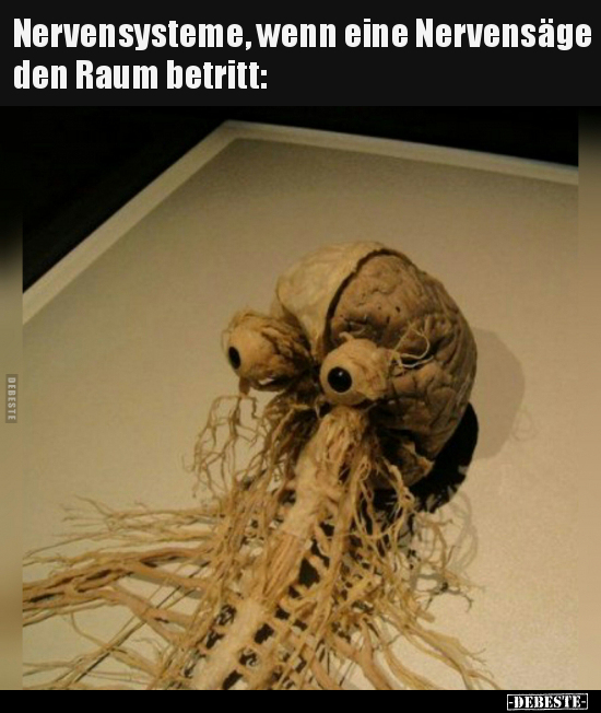 Nervensysteme, wenn eine Nervensäge den Raum betritt.. - Lustige Bilder | DEBESTE.de