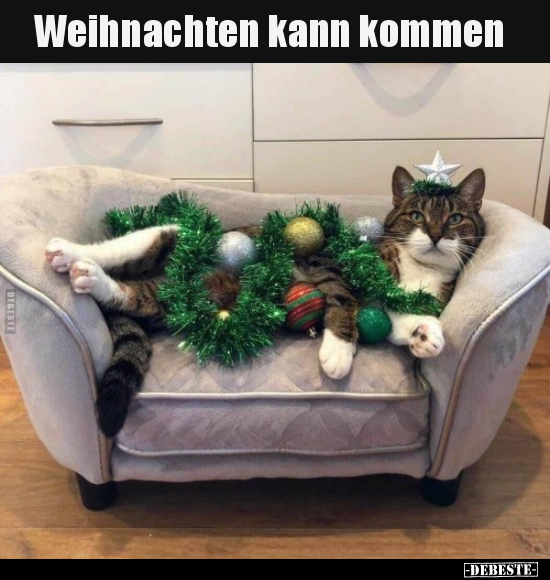 Weihnachten kann kommen.. - Lustige Bilder | DEBESTE.de