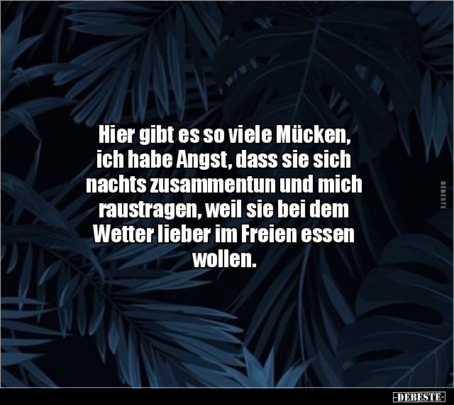 Hier gibt es so viele Mücken, ich habe Angst, dass sie.. - Lustige Bilder | DEBESTE.de