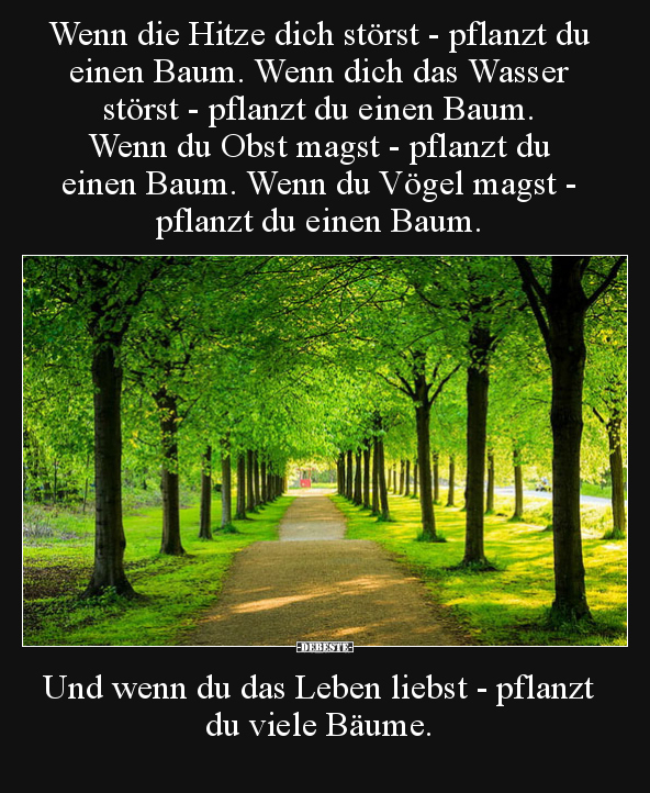 Wenn die Hitze dich störst - pflanzt du einen Baum.. - Lustige Bilder | DEBESTE.de