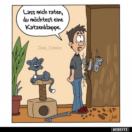Lass mich raten, du möchtest eine Katzenklappe... - Lustige Bilder | DEBESTE.de
