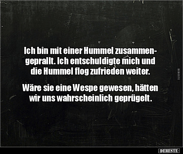 Ich bin mit einer Hummel zusammengeprallt... - Lustige Bilder | DEBESTE.de
