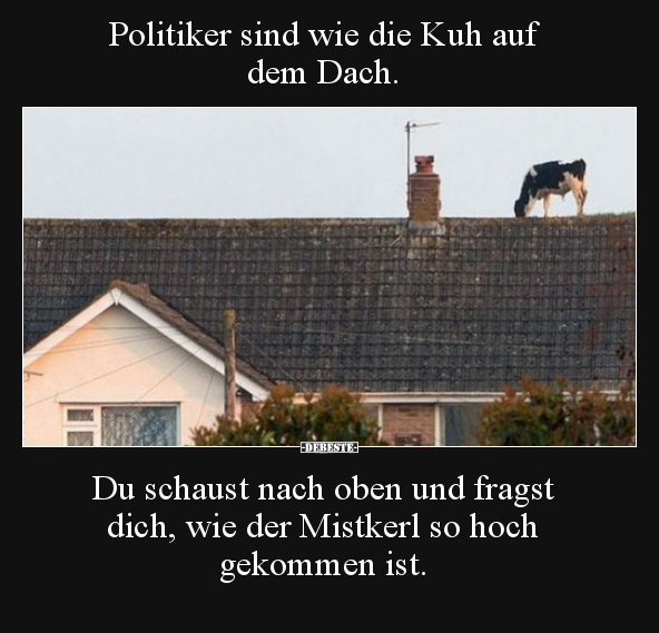 Politiker sind wie die Kuh auf dem Dach. Du schaust nach.. - Lustige Bilder | DEBESTE.de