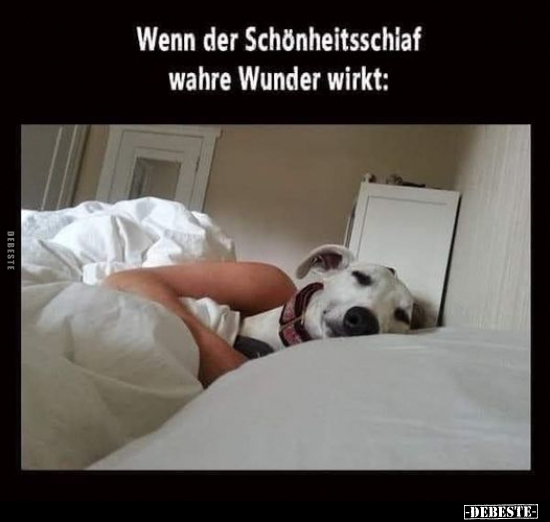 Wenn der Schönheitsschlaf wahre Wunder wirkt.. - Lustige Bilder | DEBESTE.de