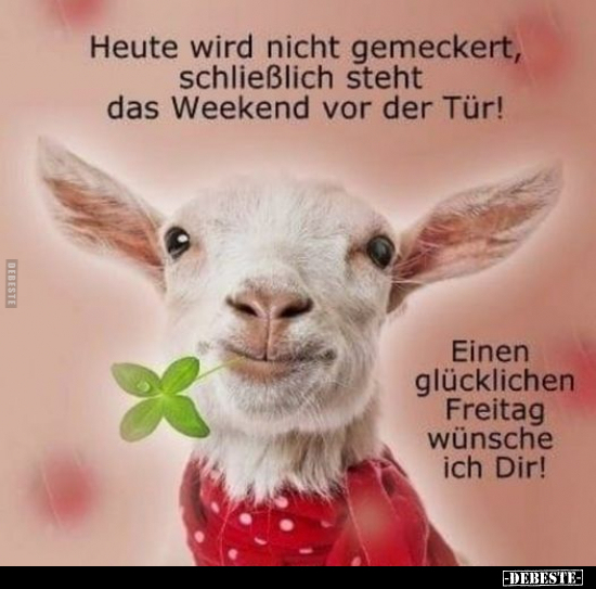 Heute wird nicht gemeckert, schließlich steht das Weekend.. - Lustige Bilder | DEBESTE.de