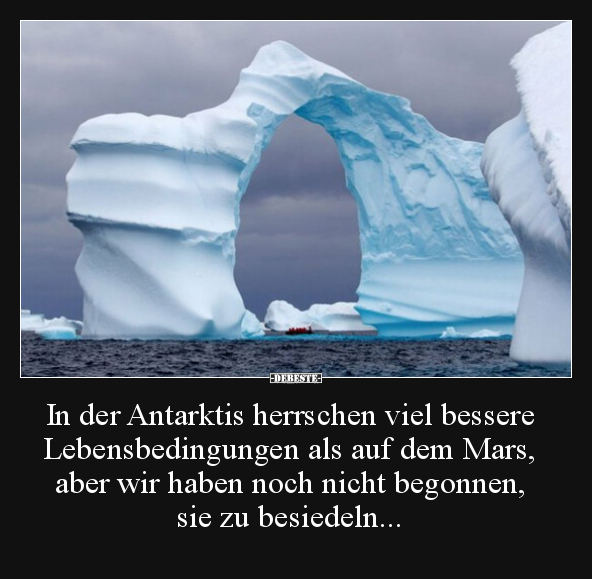 In der Antarktis herrschen viel bessere Lebensbedingungen.. - Lustige Bilder | DEBESTE.de