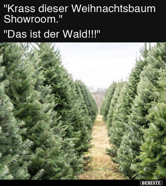 "Krass dieser Weihnachtsbaum Showroom.".. - Lustige Bilder | DEBESTE.de