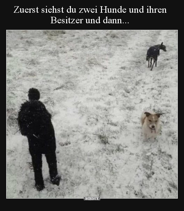 Zuerst siehst du zwei Hunde und ihren Besitzer und.. - Lustige Bilder | DEBESTE.de